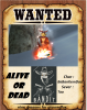 292-2920106_19-western-wanted-poster-banner-freeuse-download-huge.png