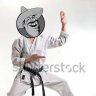 KarateMan