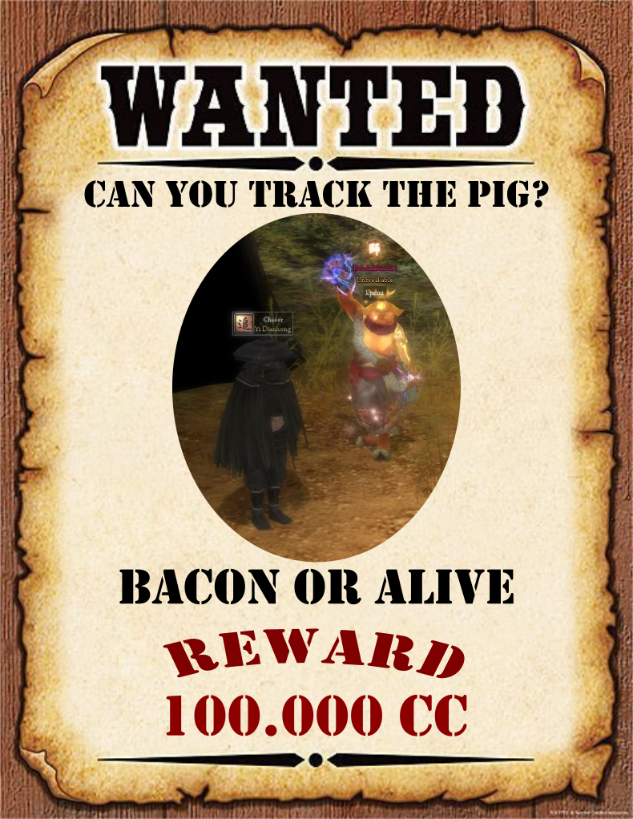 pig_contest_2.png